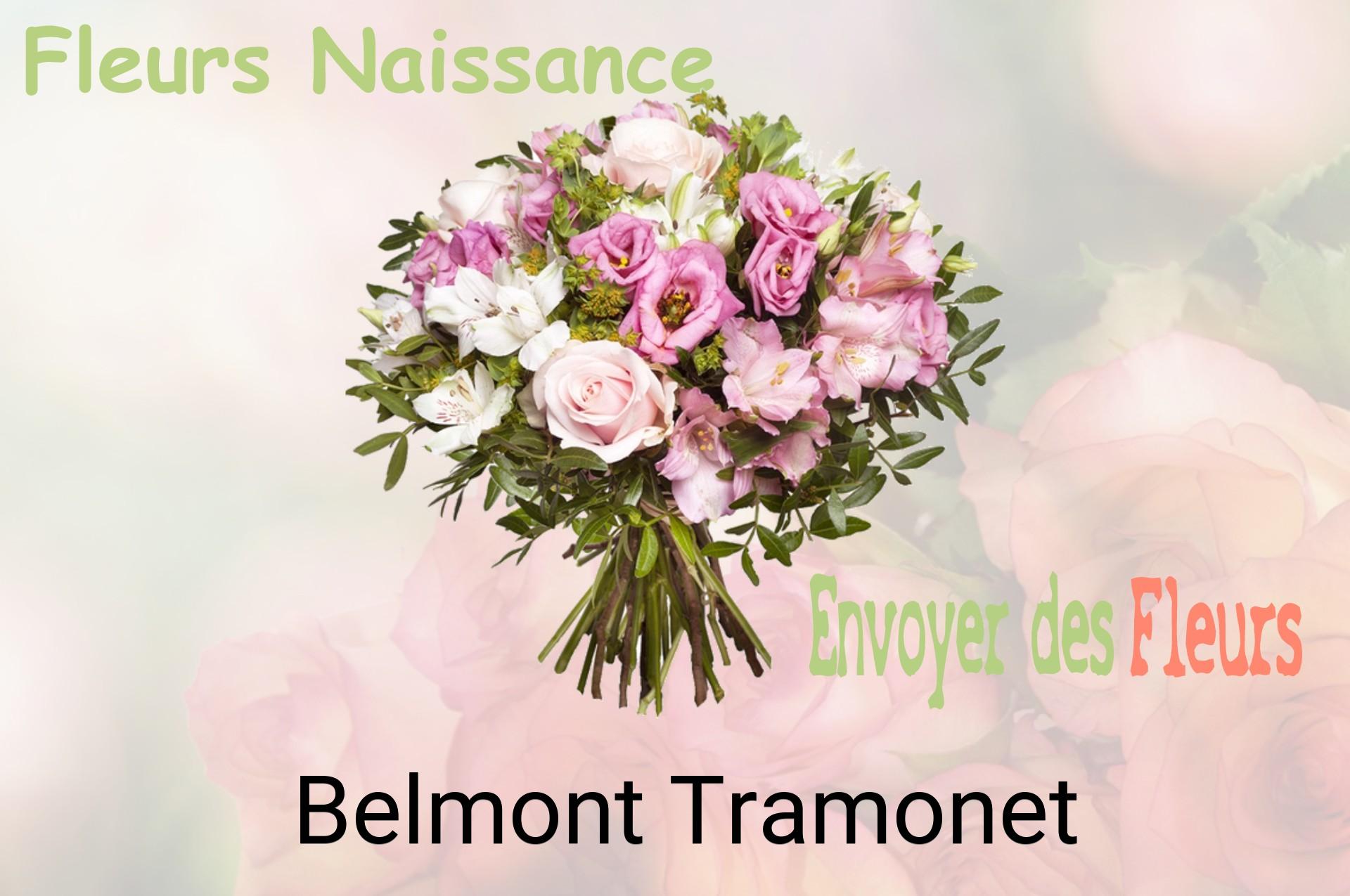 Bouquet de fleurs de naissance livré à Belmont-Tramonet